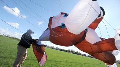Photos: Earth Day Kite Flying in Oswego