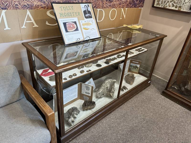 The Tully Monster display inside the Grundy County Historical Society Museum in Morris.