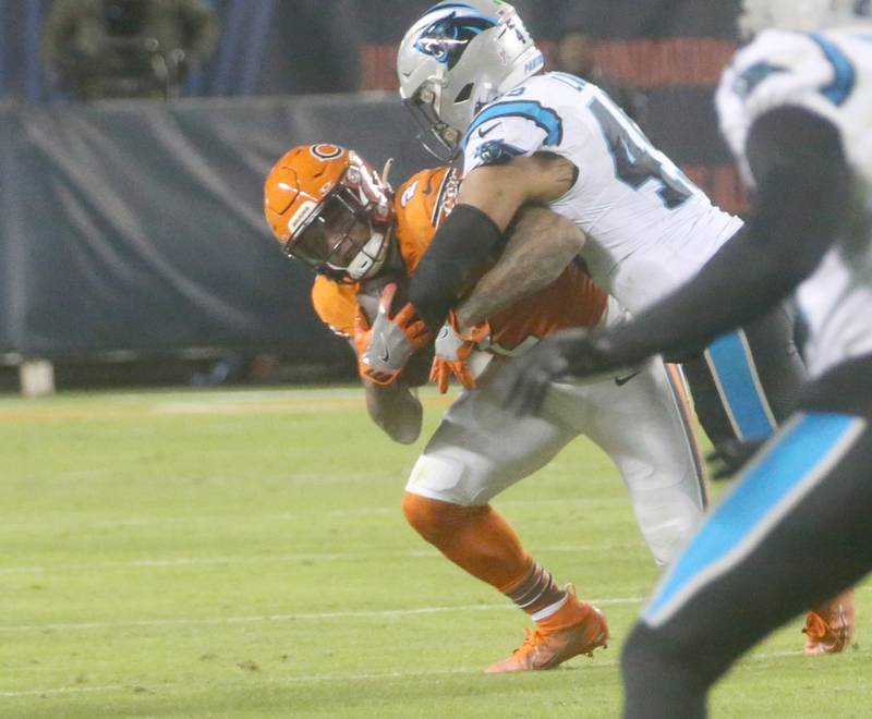 Chicago Bears wide receiver DJ Moore is taken down by Carolina Panthers line backer Frankie Luvu on Thursday, Nov. 9, 2023 at Soldier Field.