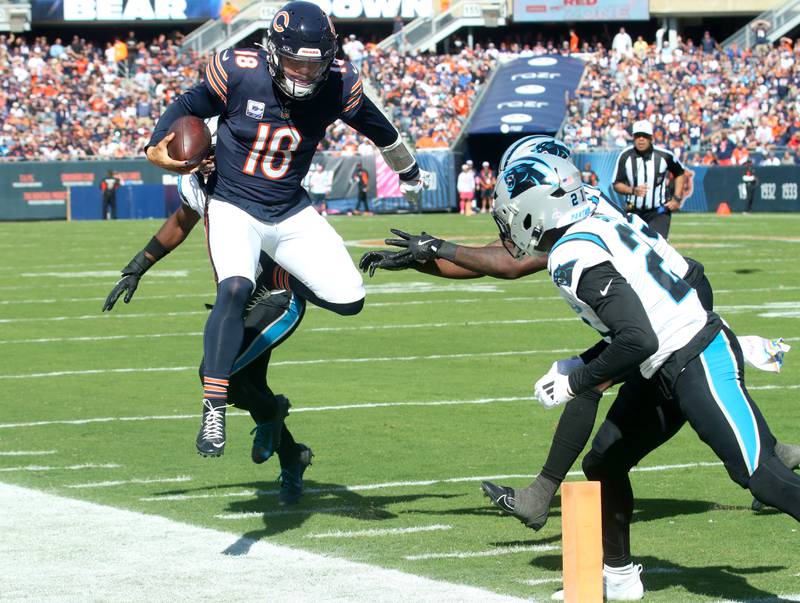 Chicago Bears quarterback Caleb Williams leaps out of bounds just shy of the end zone as Carolina Panthers safety Nick Scott and company force him out on Sunday, Oct. 6, 2024 at Soldier Field in Chicago.