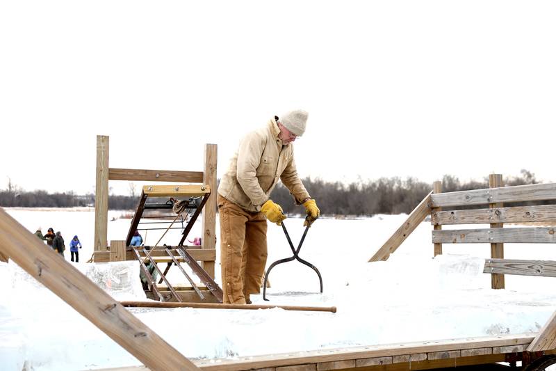Farming Assistant Ron Steck uses tongs to move some of the blocks of ice harvested on Timber Lake at Kline Creek Farm on Friday, Jan. 24 2025 in West Chicago.
