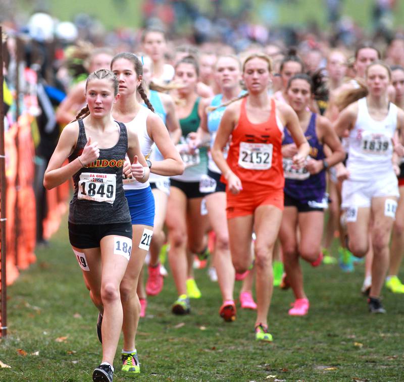 Batavia's Avery Hacker competes in the Class 3A State Cross Country Championships on Saturday, Nov. 9, 2024 at Detweiller Park in Peoria.
