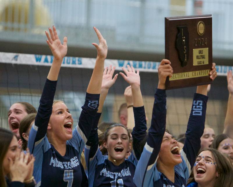 Downers Grove South celebrates the win over Downers Grove North at the Class 4A Willowbrook Sectional Final on Thursday, Nov.7,2024 in Villa Park.