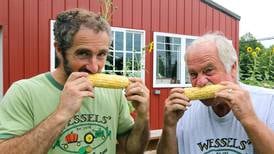 Waterman family farm spent months growing hundreds of ear-resistible corn for DeKalb Corn Fest 