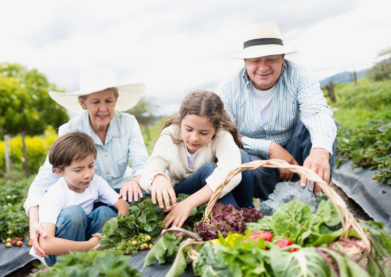 Willow Falls - Overheating and Seniors: How to Keep Them Safe
