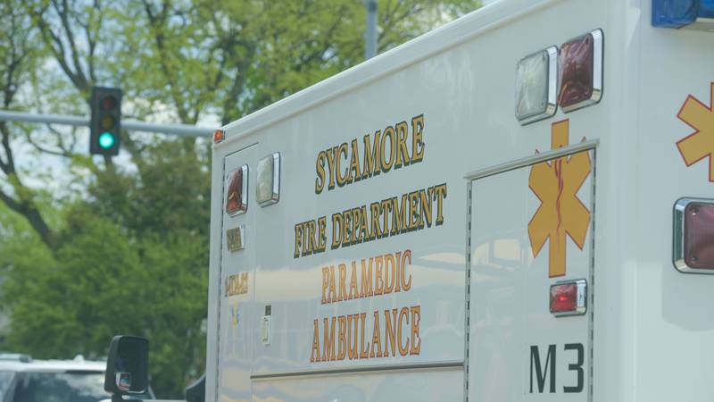 Sycamore family, cat safe after house fire
