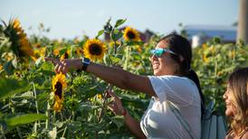 Photos: Sunflower Festival in Maple Park