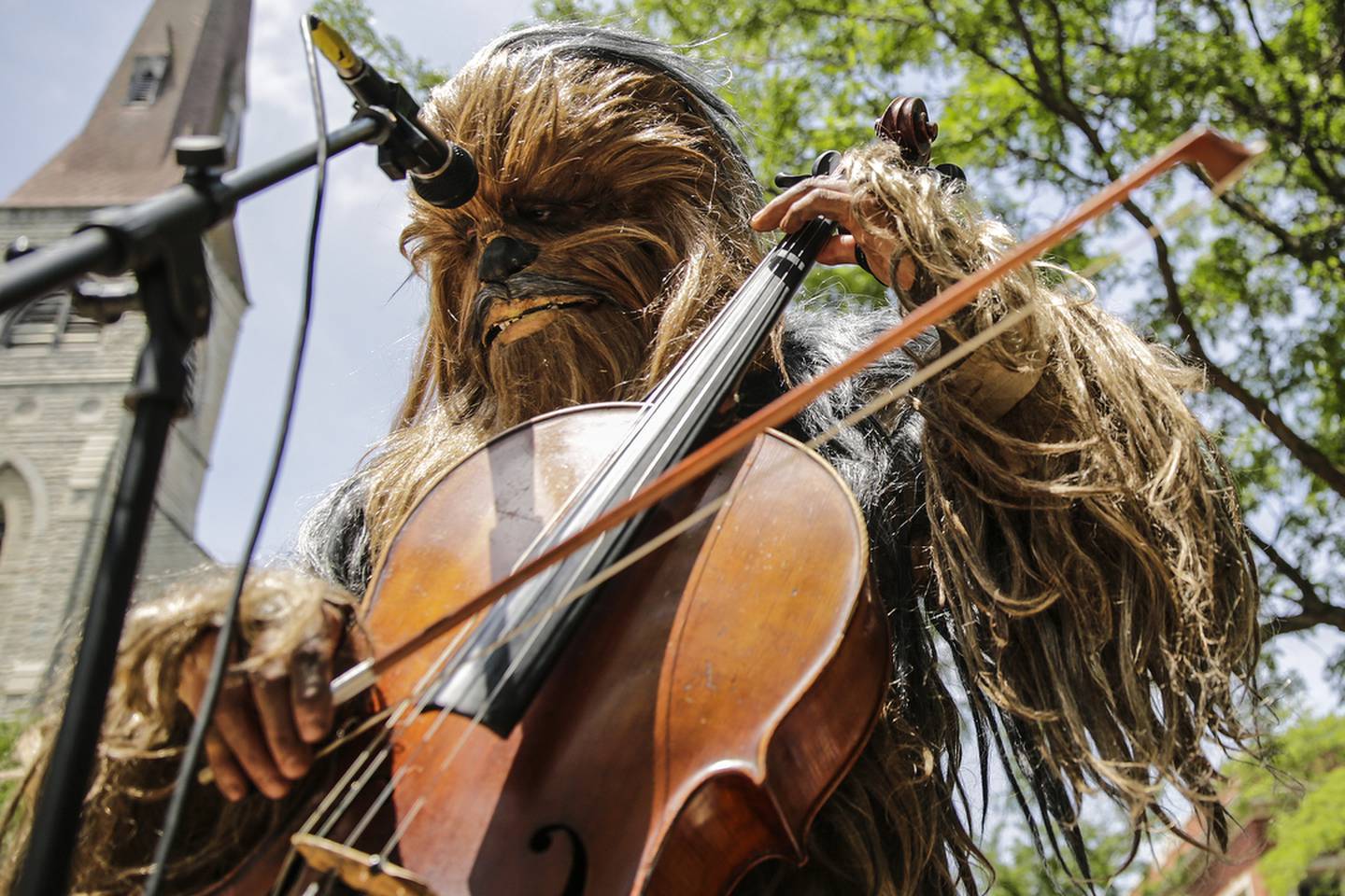 A member of the il Trubadore Klingon Music Project plays the cello dressed as a Wookie during the Joliet Public Library Star Wars Day, Saturday, June 6, 2015, in Joliet, Ill.