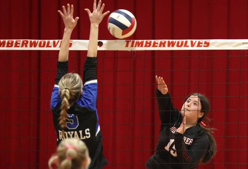 Indian Creek's Paloma Cardenas tries to spike the ball by Hinckley-Big Rock's Julianne Miceli during their Class 1A regional play-in game Monday, Oct. 28, 2024, at Indian Creek High School in Shabbona.
