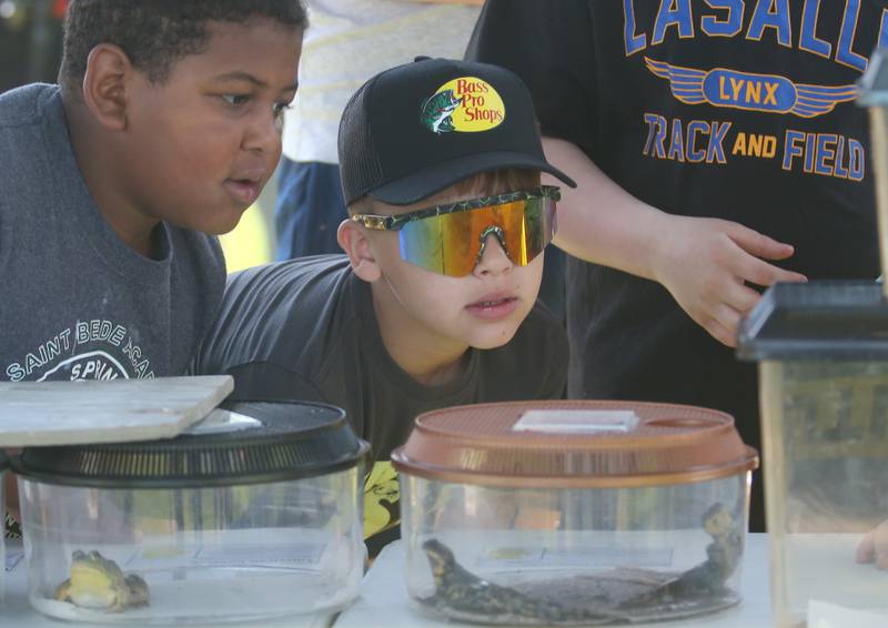 Romeo Hermosillo and his cousin Camilo, of Oglesby, look at a salamander and other amphibians during the 25th annual Kids Fishing Expo on Saturday, May 10, 2025 at Baker Lake in Peru.