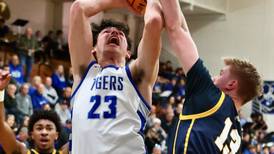 Photos: Sterling at Princeton boys basketball