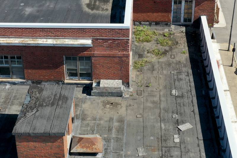 Here, weeds grow out of the rooftop of the Hotel Kaskaskia on Thursday, June 16, 2022 downtown La Salle. City of La Salle officials obtained a search warrant of the property and toward the facility.