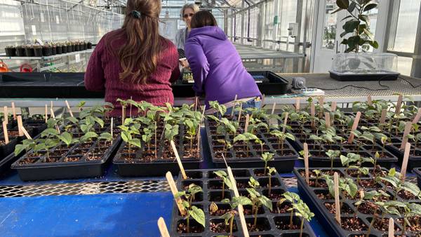 Photos: Preparing for the Great Seed and Soil Event at McHenry County College