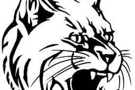 West Chicago co-op takes swimming sectional at St. Charles East; St. Charles North second