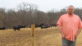 Northern Illinois Angus operation focuses on developing cattle with longevity, product merit 
