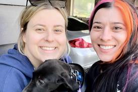 St. Charles pet rescue joins nationwide effort to expand shelter capacity, find adoptive homes