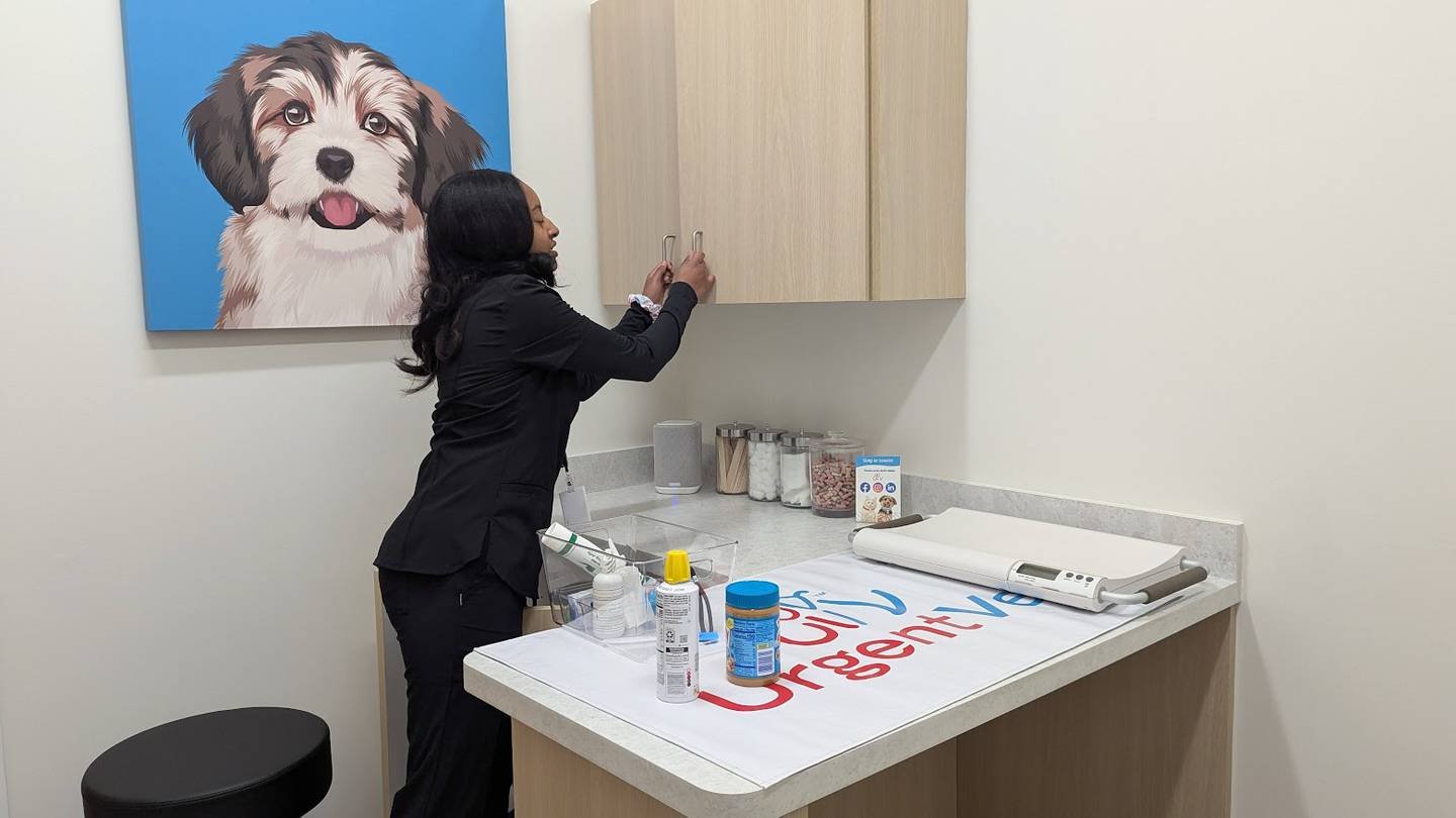 Deja Finner, senior assistant at UrgentVet Joliet, shows some of the snacks UrgentVet Joliet has available for their doggie patients on Friday, Feb. 7, 2025.