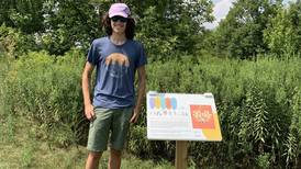 Elmhurst Eagle Scout candidate brings StoryWalk outdoor reading adventure to local park