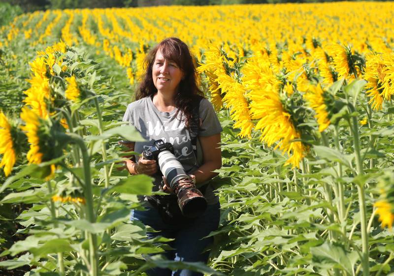 Professional photographer Justine Neslund keeps her eyes peeled for indigo bunting birds to photograph Friday, July 14, 2023, in one of the fields at Shabbona Lake State Recreation Area in Shabbona Township. The birds like to feed on the seeds from the flowers.