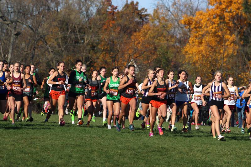 Runners begin a girls Class 2A Sectional Cross Country Meet at Emricson Park in Woodstock Saturday.