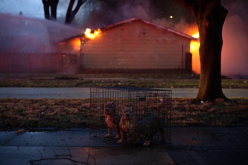 Rescued dogs wait inside a kennel as firefighters work to extinguish a garage fire at 905 S. Elm Ave that erupted after massive hailstones fell from a storm on Tuesday, March 10, 2026. The garage was shelter for several dogs and unclear if all were rescued.