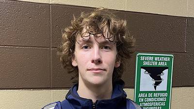 Lemont’s Shea Glotzbach throws perfect game: Saturday’s Suburban Life sports roundup