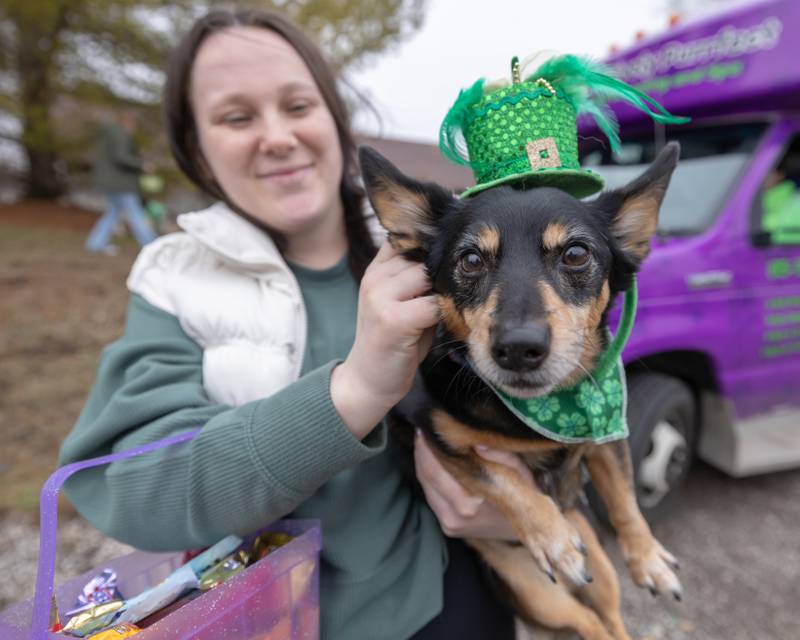 Arianna Scholle prepares her dog Bernie prepare to walk in the St. Patrick's Day Parade on March 7, 2026 in Utica.