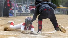 Photos: Amboy vs Fulton regional softball