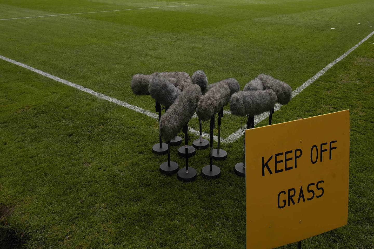 TV broadcasters “dead-cat” microphones gather at the edge of the field in this 2005 Peter Robinson image.