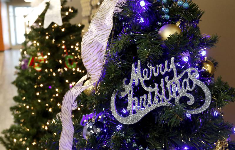 Decorated Christmas trees on Thursday, Nov. 21, 2024, for the McHenry Chamber of Commerce Festival of Trees at the McHenry Recreation Center.