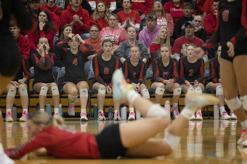 The Erie-Prophetstown bench reacts to a point against El Paso-Gridley Thursday, Nov. 7, 2024, during the class 2A volleyball sectional championship at Bureau Valley High School.