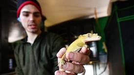 Momence reptile rescue hosting volunteer day Sunday