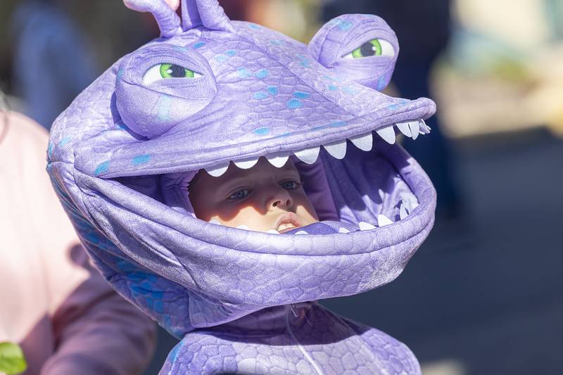 Dressed as Randall Boggs from Monsters, Inc., Dane Shomaker, 9, peers from his costume Saturday, Oct. 26, 2024, in Dixon.