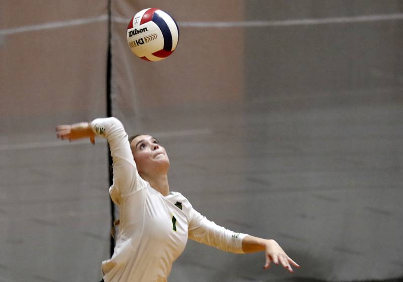 Crystal Lake South's Olivia Apt serves the ball in the IHSA Class 3A Crystal Lake Central Regional volleyball final against Crystal Lake Central on Oct. 31, 2024, at Crystal Lake Central High School.