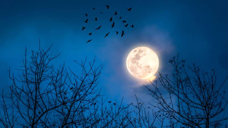 Spooky tales linger at Hunt House in St. Charles