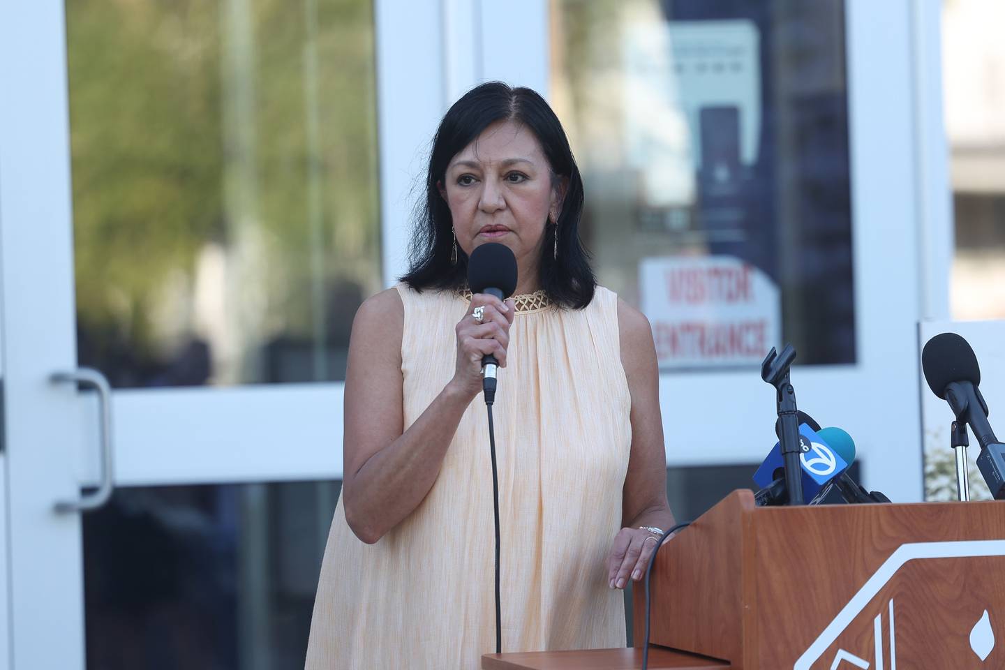 Lockport Township High School District 205 Board President Ann Lopez-Caneva speaks at the reopening celebration of the Lockport High School Central Campus on Friday, Aug. 16, 2024.