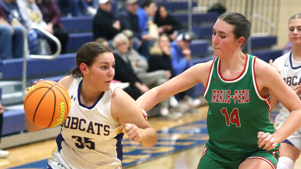 Field set for 2026 Little Ten Conference Girls Basketball Tournament