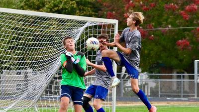 Princeton celebrates regional quarterfinal win over Olympia 