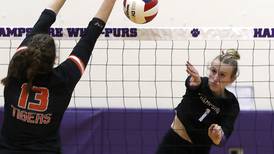 2025 Northwest Herald girls volleyball team preview