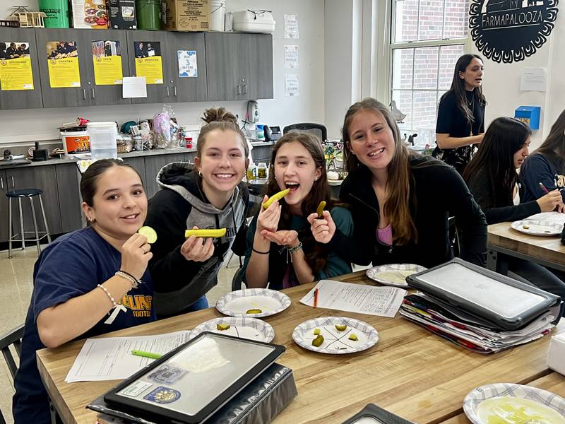 Sterling High School Agriculture Education students Toni Martinez, Breanna Taylor, Rachel Kirchoff and Madilyn Davis enjoy pickles during class.