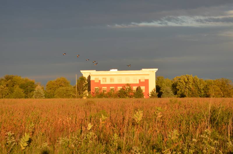 Geese fly over a large vacant property along Route 31 just west of the Alexander Leigh Center For Autism in McHenry the evening of Wednesday, Sept. 22, 2021, where McHenry-based Cunat Inc. is considering developing 540 apartments across dozens of acres.