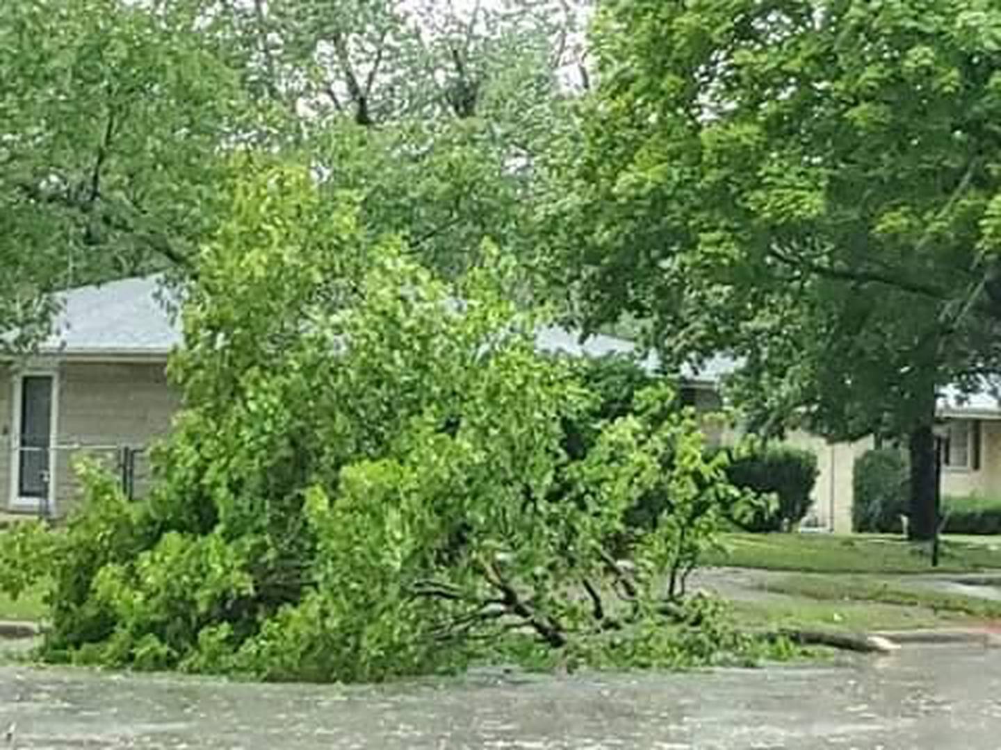 Joliet 2020 derecho