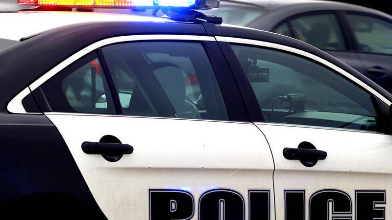 Theft suspect fleeing Elmhurst police fatally struck on I-294