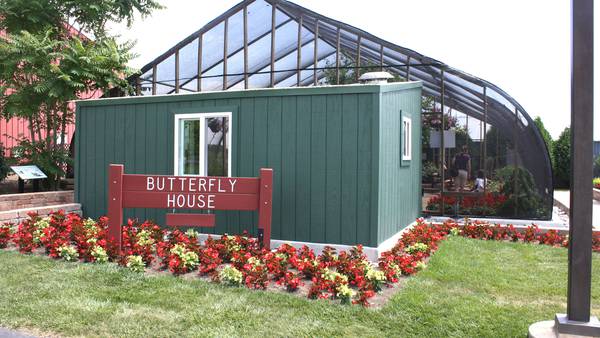5 Things to Do: Butterfly Release Party in Geneva, Aurora Food Truck Festival and more this weekend