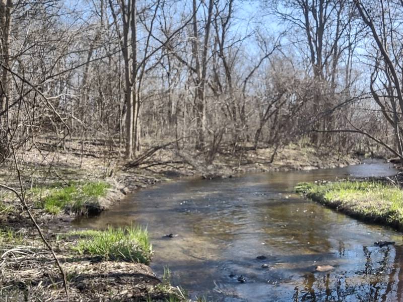 An open section of Crystal Creek in Cress Creek Park as it flows out from an underground portion at the intersection of Nash Road and St. Andrews Lane.