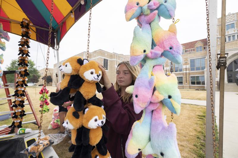 Savannah Foester hangs carnival prizes Monday, June 26, 2023 as Dixon Petunia Fest’s carnival starts to take shape along the riverfront in front of the high school.