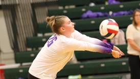 Rochelle volleyball beats Sycamore, loses to Kaneland: Rochelle News Leader high school sports roundup