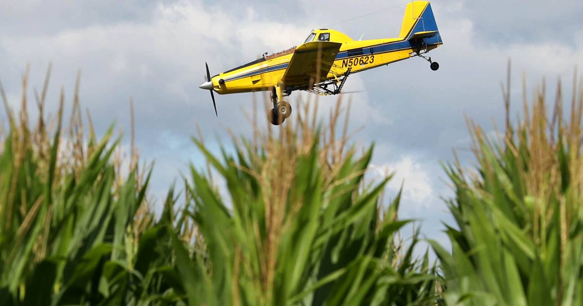 Photos: Crop duster drops in on Hinckley farm – Shaw Local