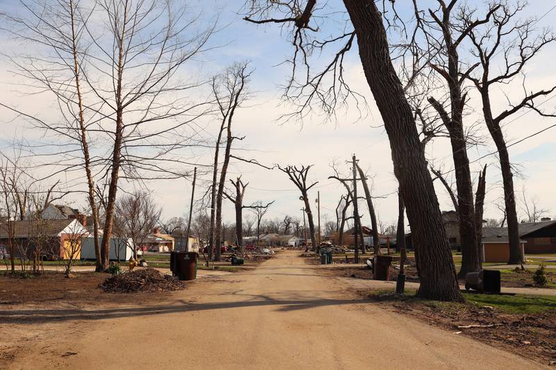 Damaged trees and homes in the Oakwoods subdivision in Aroma Township are shown on April 8, 2026, nearly one month after the EF-3 tornado.