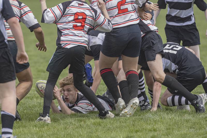 Jack O'Brien of the Stallions Rugby Club looks for a teammate to pass the rugby ball off to during the game against the West Suburban Barbarians at Veterans Park on April 28, 2024.